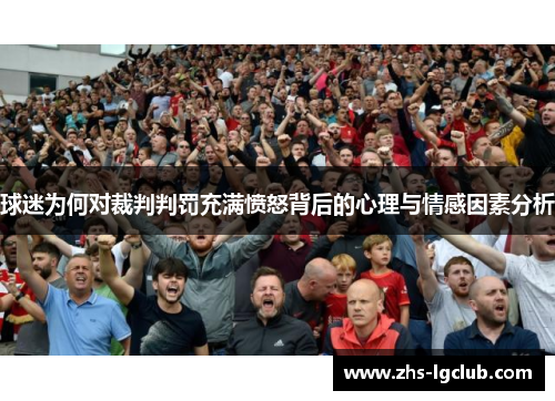 球迷为何对裁判判罚充满愤怒背后的心理与情感因素分析
