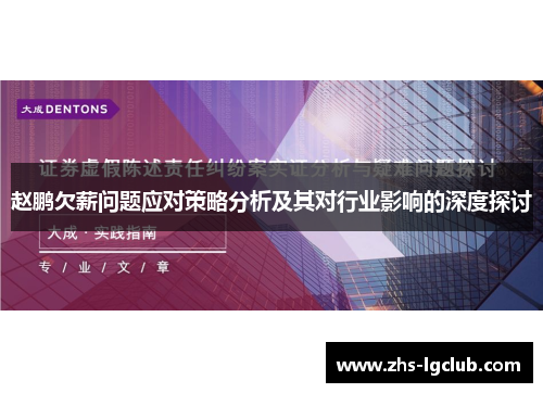 赵鹏欠薪问题应对策略分析及其对行业影响的深度探讨