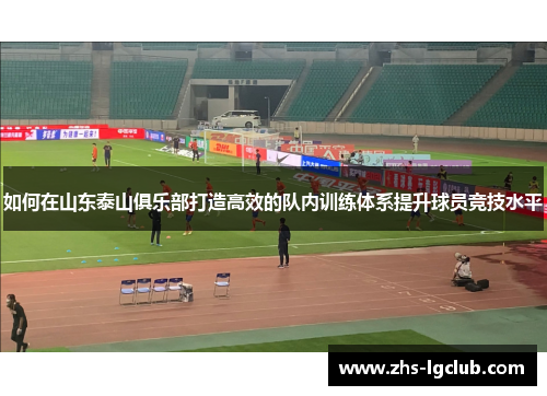 如何在山东泰山俱乐部打造高效的队内训练体系提升球员竞技水平